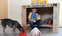 9-летний мальчик создал убежище для животных в своем гараже
