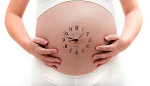 Физиология беременности