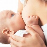 Поведение ребенка у груди – как правильно кормить ребенка