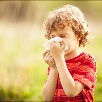 Поллиноз у детей – как проявляется аллергия